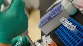 Kovid-19’a karşı bağışıklık neye bağlı?