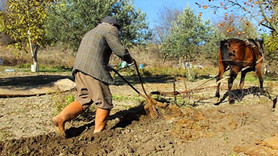 Kıbrıslı Türk çiftçilere sözlü Rum tacizi!