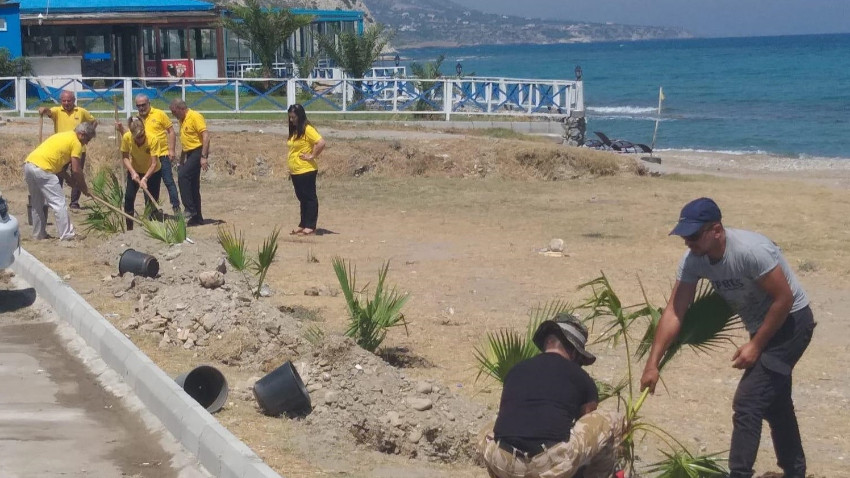 Güzelyalı Halk Plajı'nda ağaçlandırma çalışması